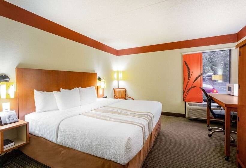 سوئیت با تخت بزرگ, Clt Airport Inn & Suites