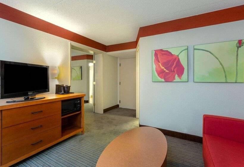 سوئیت با تخت بزرگ, Clt Airport Inn & Suites