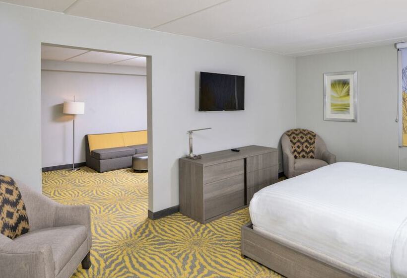 سوییت, Holiday Inn Dallas Richardson, An Ihg