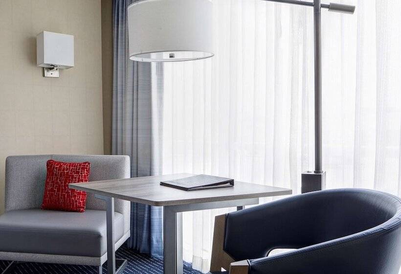 带景观的带双人床的标准间, Hyatt Regency Baltimore