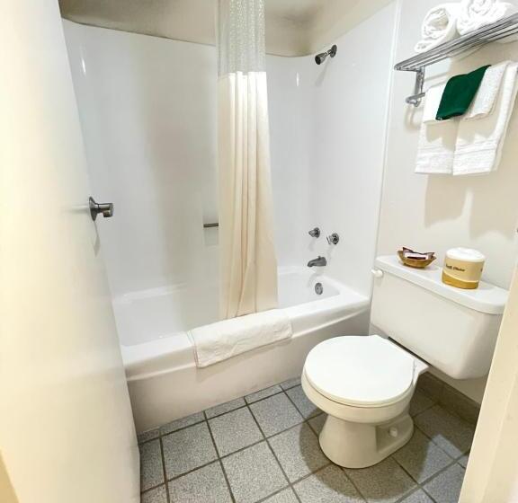 Стандартный Номер Кровать Кинг, Lulu Silver City