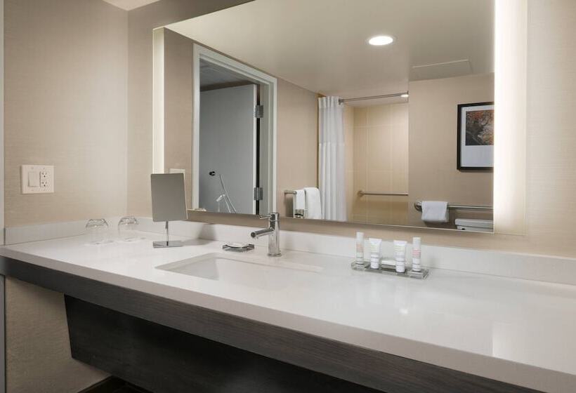 Habitació Estàndard 2 Llits Matrimoni, Houston Marriott Medical Center/museum District
