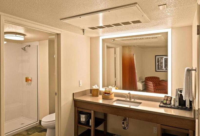 اتاق لوکس با چشم‌انداز, Arabella Hotel Sedona