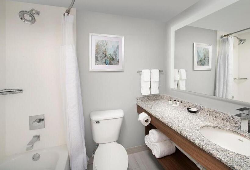 Habitació Estàndard Llit King, Crowne Plaza San Antonio Airport By Ihg