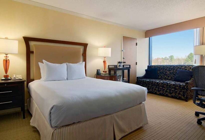 اتاق استاندارد برای معلولان, Hilton Raleigh North Hills