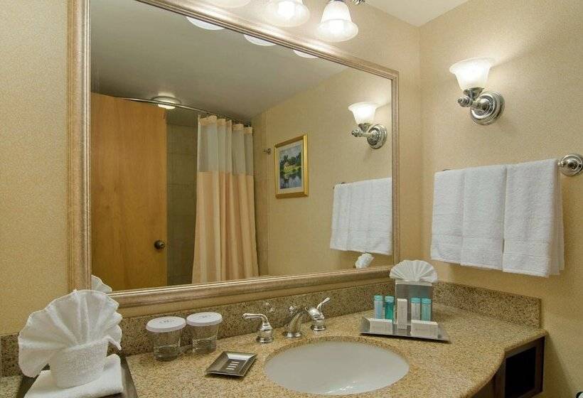 اتاق استاندارد, Hilton Raleigh North Hills