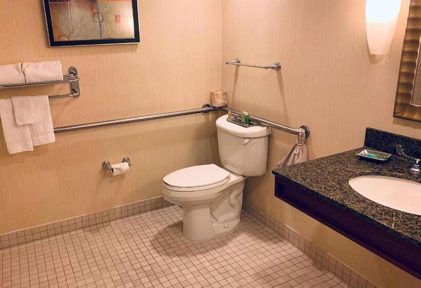 장애인을 위한 킹사이즈 침대 스탠다드 룸, Ontario Airport Hotel & Conference Center