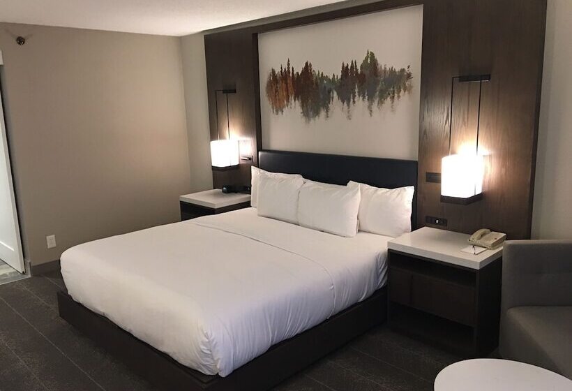 ダブルベッドスタンダードルーム, Hilton Peachtree City Atlanta Hotel & Conference Center