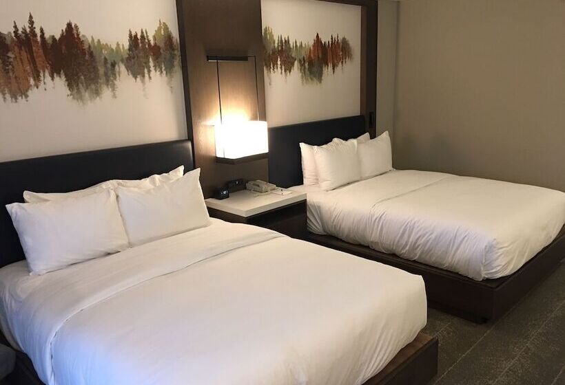 ２ダブルベッドのスタンダードルーム, Hilton Peachtree City Atlanta Hotel & Conference Center