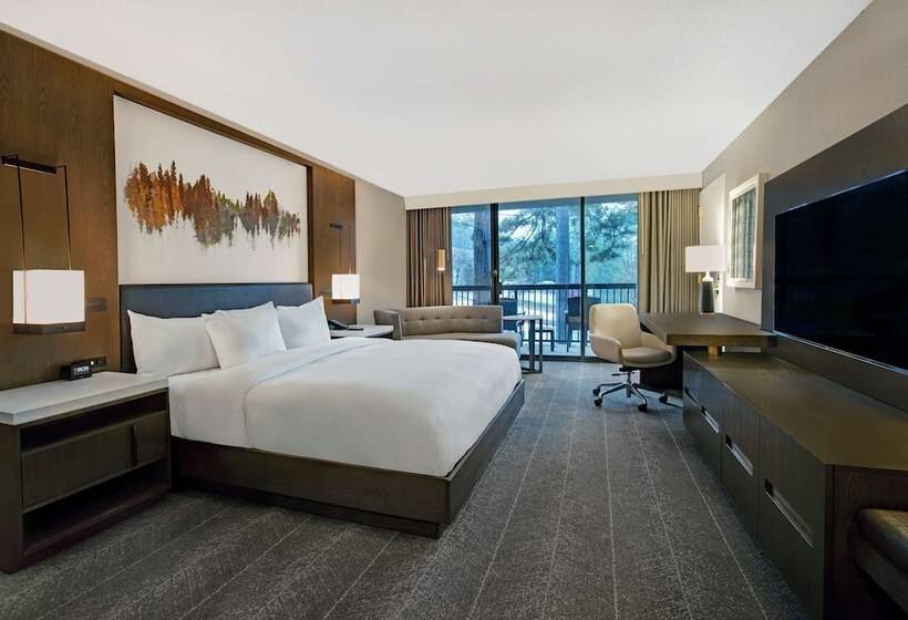 ダブルベッドスタンダードルーム, Hilton Peachtree City Atlanta Hotel & Conference Center