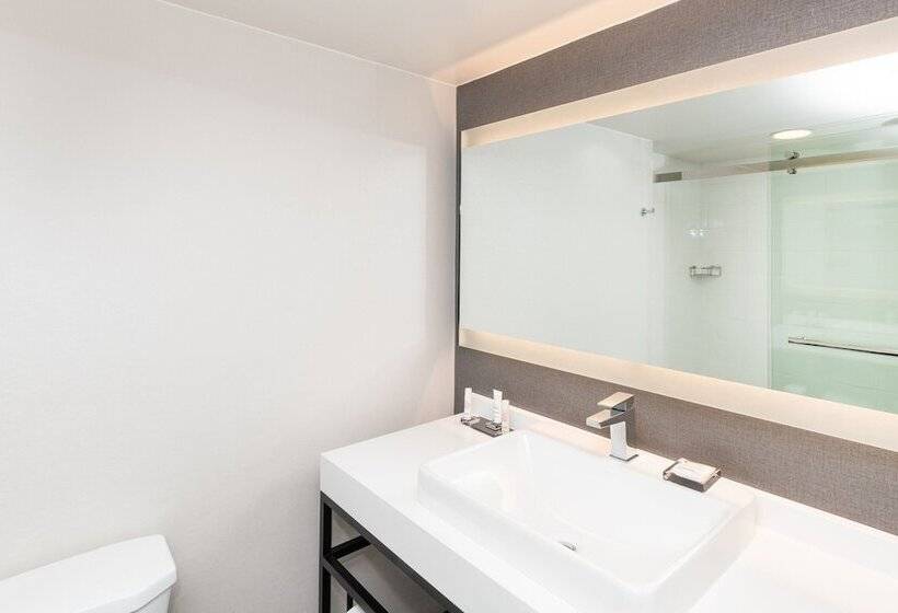 اتاق استاندارد برای معلولان, Pittsburgh Airport Marriott