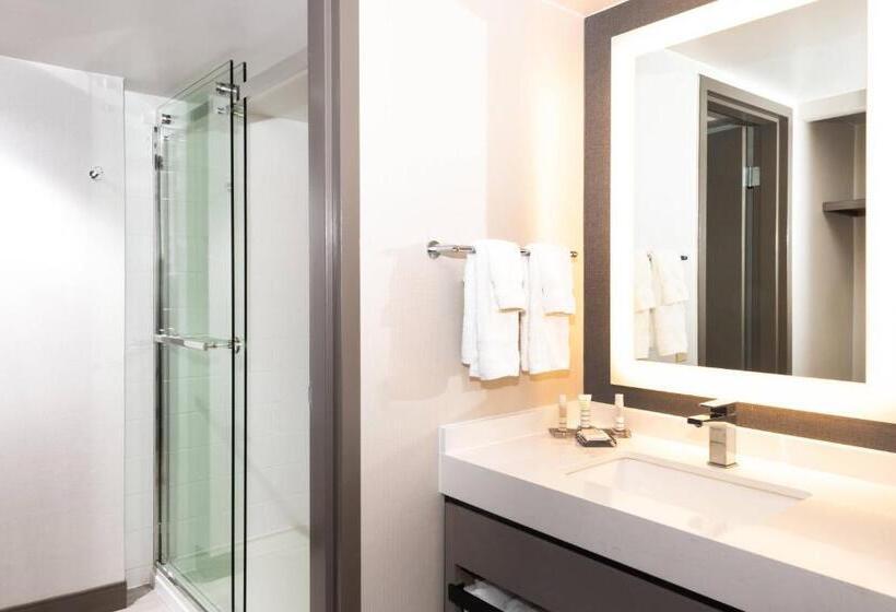 اتاق استاندارد با تخت بزرگ, Pittsburgh Airport Marriott