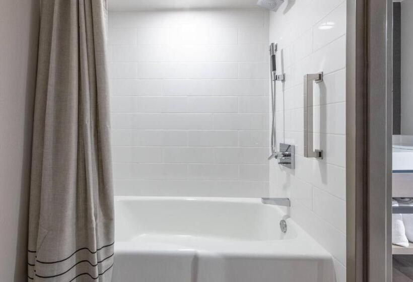 اتاق استاندارد برای معلولان, Pittsburgh Airport Marriott