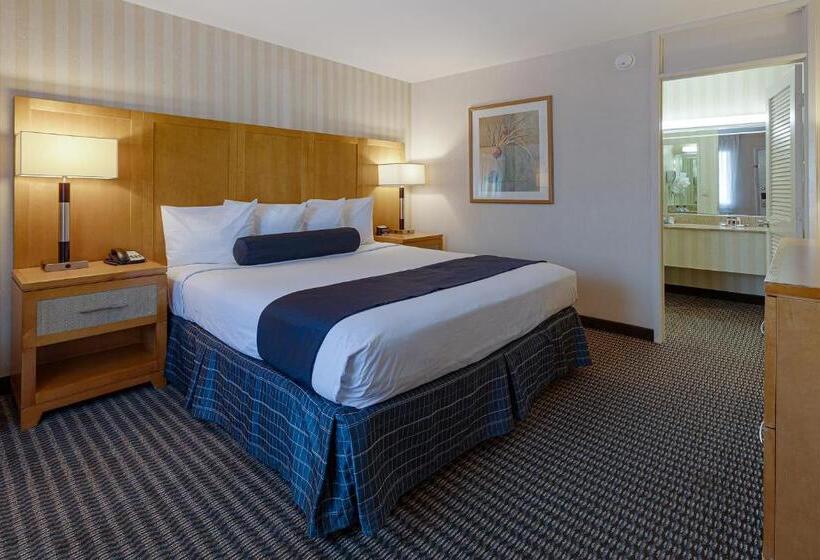 غرفة قياسية سرير كينج, Travelodge By Wyndham Palm Springs