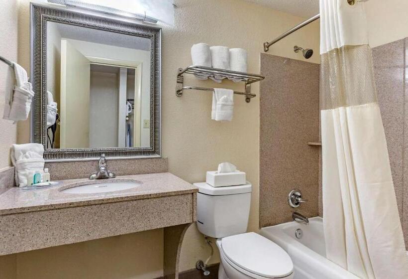 Стандартный Номер Кровать Кинг, Quality Inn & Suites  Greensborohigh Point