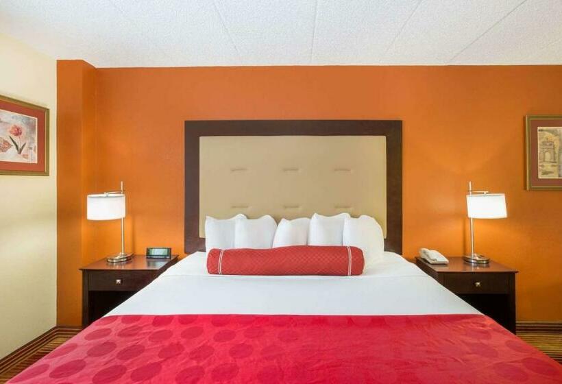 스탠다드 룸 킹사이즈 침대, Clarion Inn & Suites And Convention Center