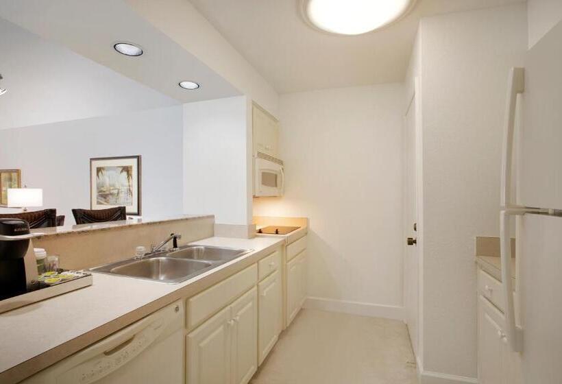 Студия Стандарт, Saddlebrook Golf Resort & Spa Tampa North Wesley Chapel