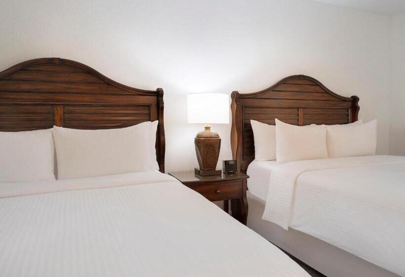 高级套房, Saddlebrook Golf Resort & Spa Tampa North Wesley Chapel