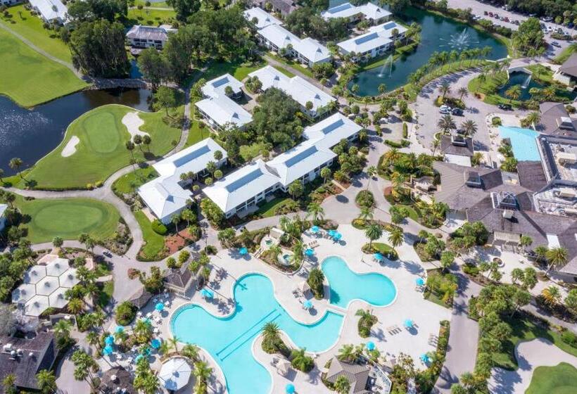套房带泳池景, Saddlebrook Golf Resort & Spa Tampa North Wesley Chapel