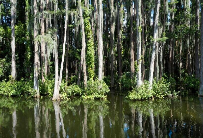 Номер Стандарт, Saddlebrook Golf Resort & Spa Tampa North Wesley Chapel