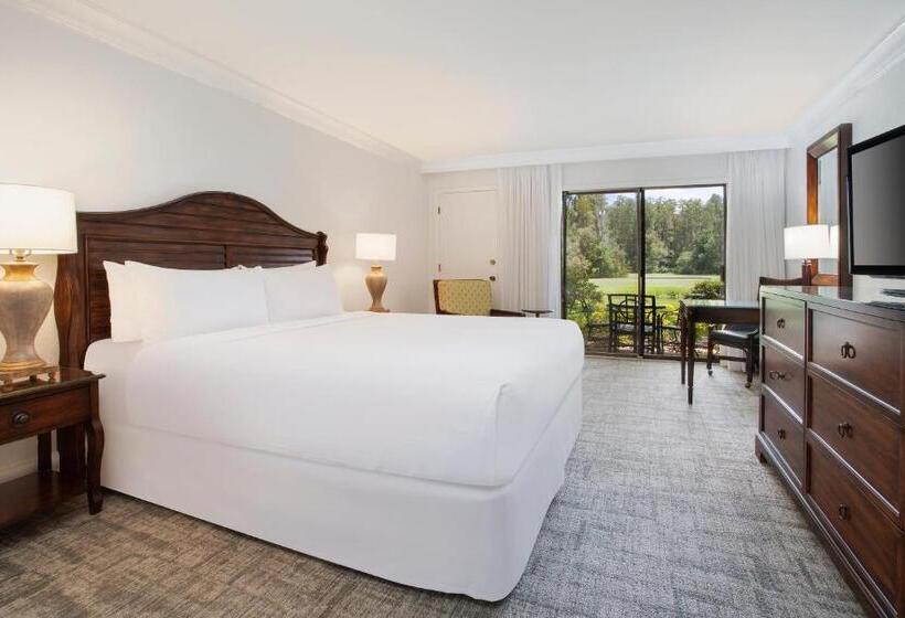 标准间, Saddlebrook Golf Resort & Spa Tampa North Wesley Chapel
