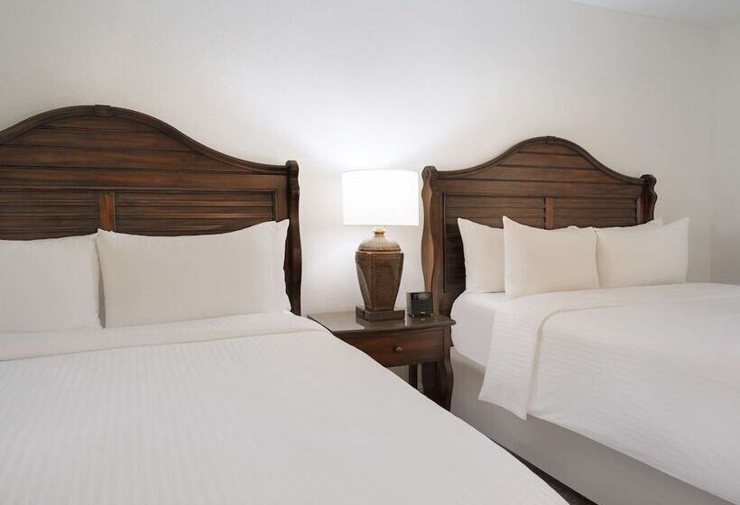 套房带泳池景, Saddlebrook Golf Resort & Spa Tampa North Wesley Chapel