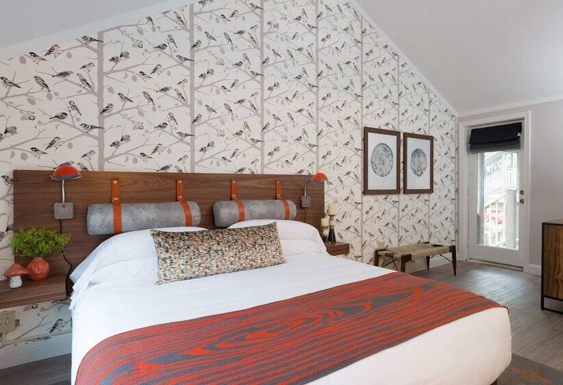 اتاق لوکس, Field Guide Lodge