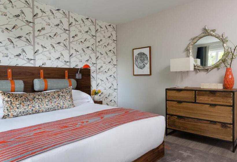 اتاق استاندارد با تخت بزرگ, Field Guide Lodge