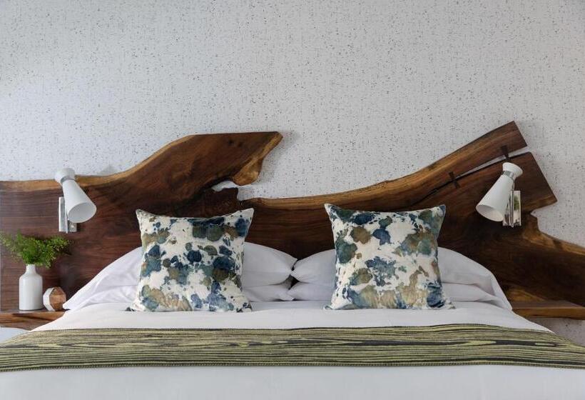 اتاق لوکس با تخت بزرگ, Field Guide Lodge