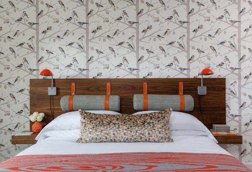 سوئیت با تخت بزرگ, Field Guide Lodge