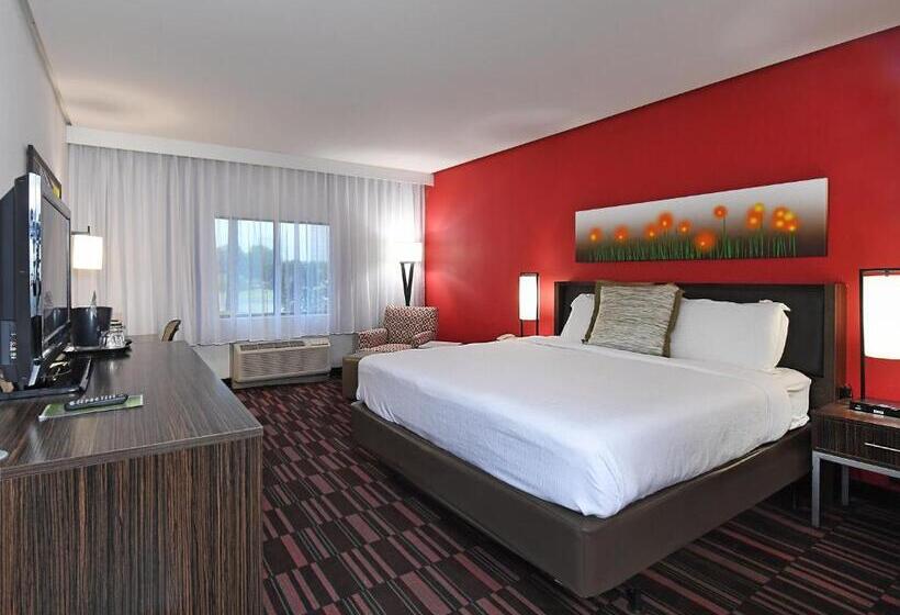 Номер Deluxe Адаптированный для Инвалидов, Holiday Inn Irving Las Colinas, An Ihg