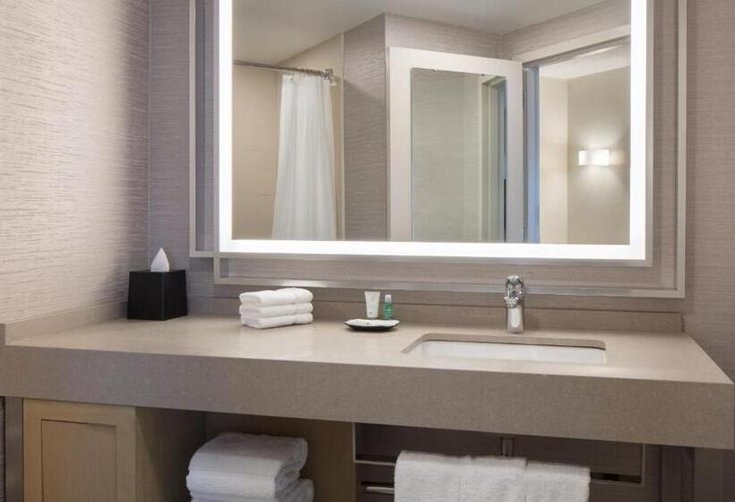 장애인을 위한 킹사이즈 침대 스탠다드 룸, The Westin Kansas City At Crown Center