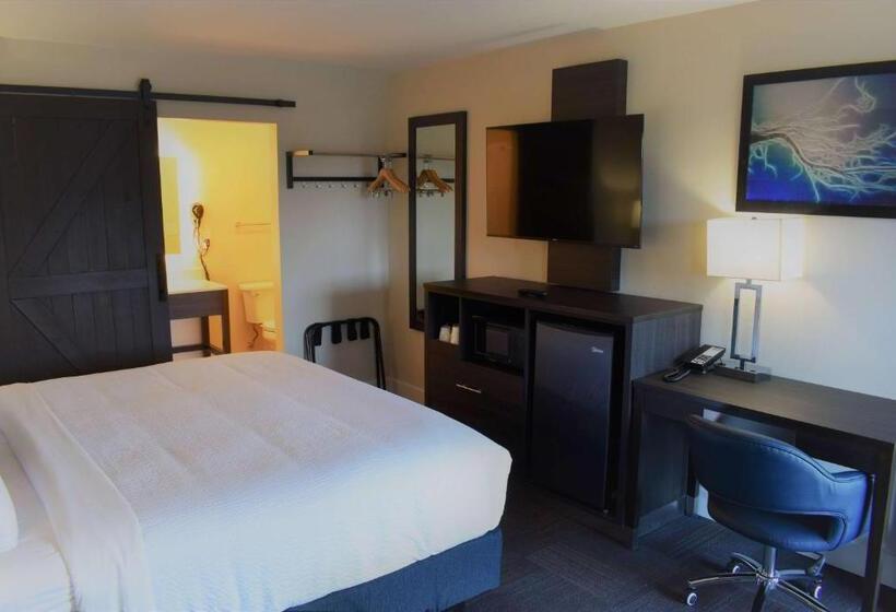 Стандартный Номер Кровать Кинг, Travelodge By Wyndham Santa Rosa Wine Country