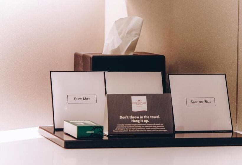 اتاق استاندارد با تخت بزرگ, Crowne Plaza Belgrade, An Ihg