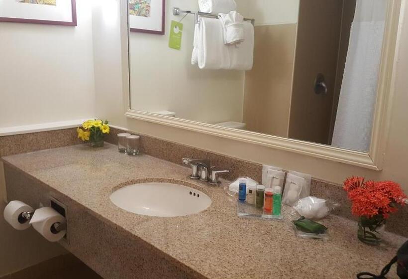 اتاق استاندارد با تخت بزرگ, Radisson Hotel Trinidad