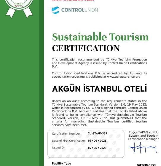 اتاق لوکس, Akgun Istanbul