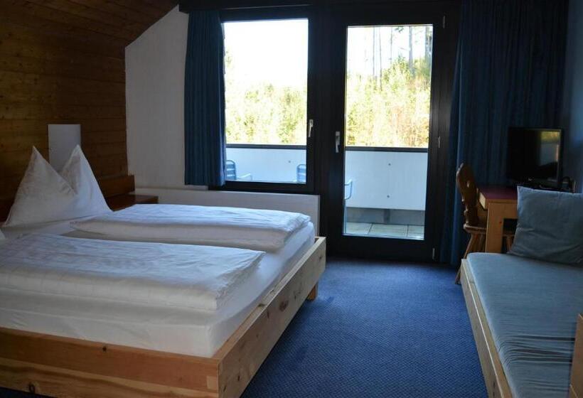Номер Стандарт, Leitgebhof