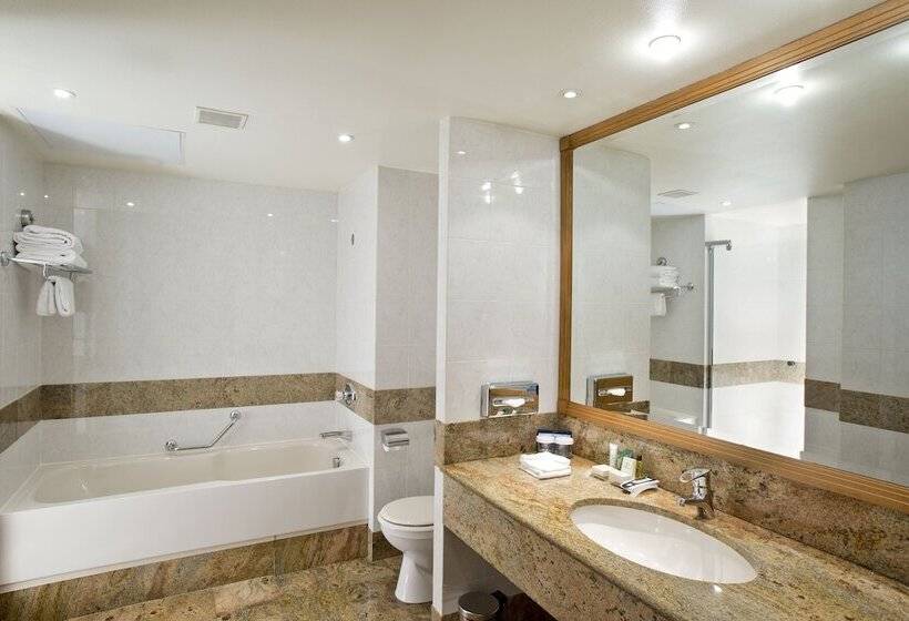 اتاق لوکس, Hilton Paris Charles De Gaulle Airport