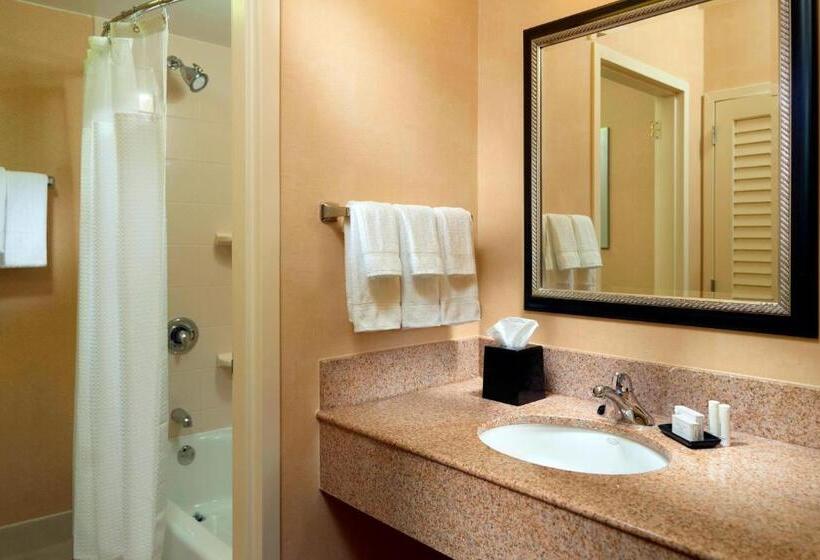 Номер Стандарт, Courtyard Birmingham Hoover