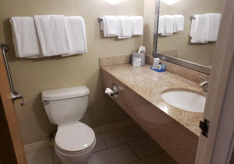 سوئیت با تخت بزرگ, Radisson Hotel Vancouver Airport
