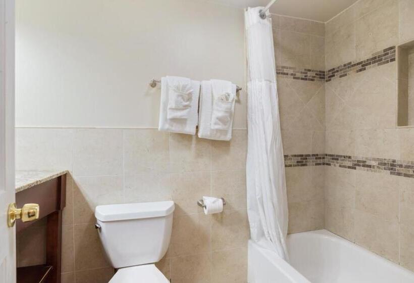 Номер Basic, Andrew Jackson Hotel French Quarter