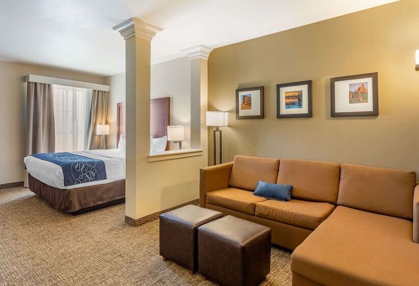 סוויטה עם ג'קוזי, Comfort Suites Near Denver Downtown