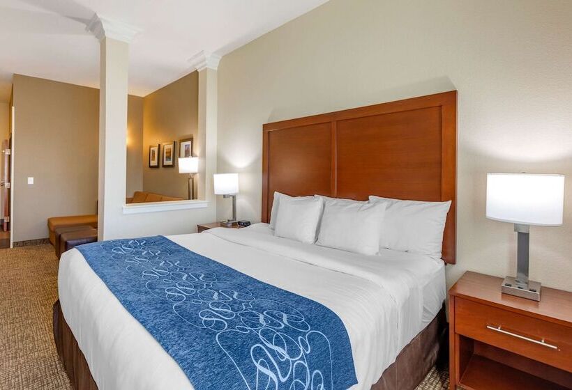 סוויטה מותאמת לאדם עם מוגבלויות, Comfort Suites Near Denver Downtown