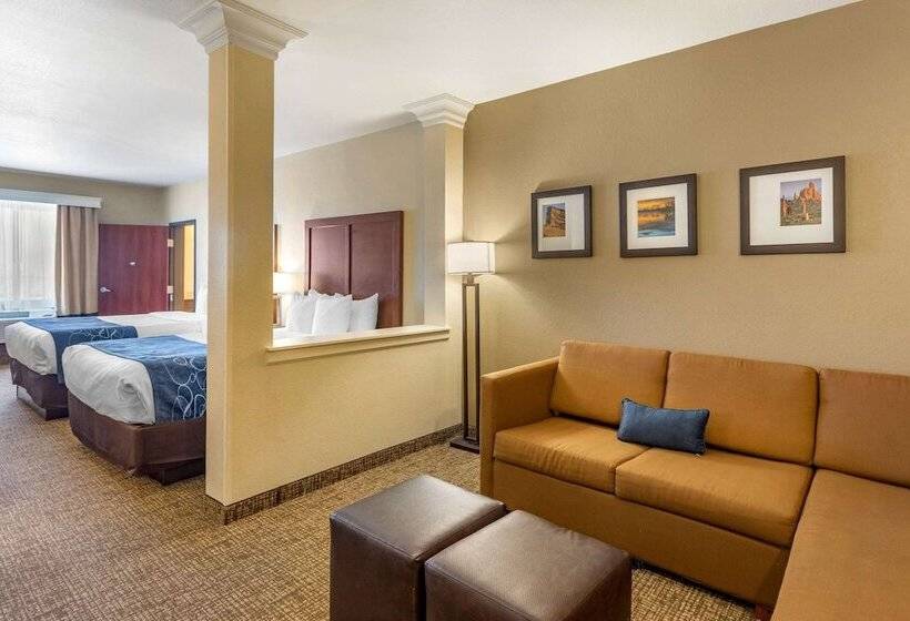 סוויטה מותאמת לאדם עם מוגבלויות, Comfort Suites Near Denver Downtown