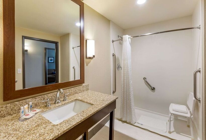 סוויטה, Comfort Suites Near Denver Downtown