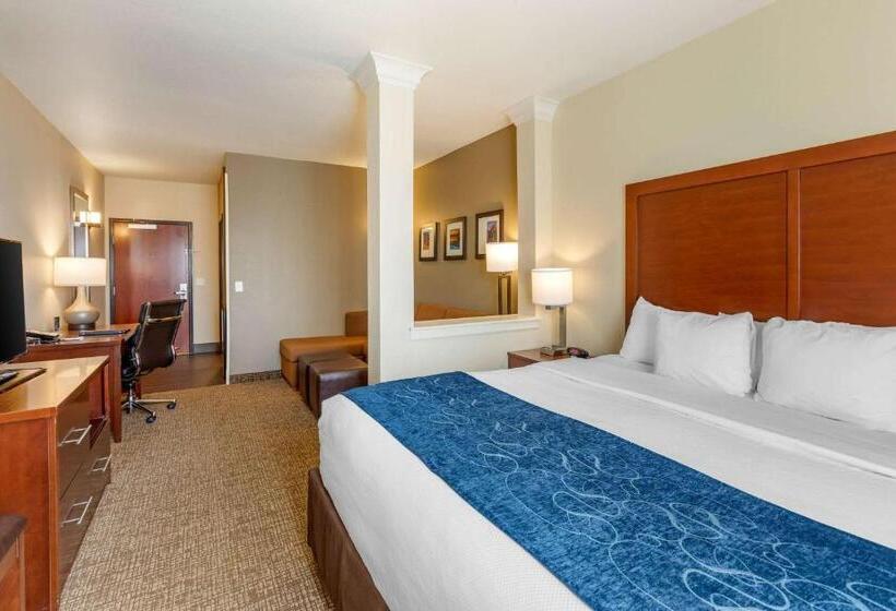 מיטת קינג בסוויטה, Comfort Suites Near Denver Downtown