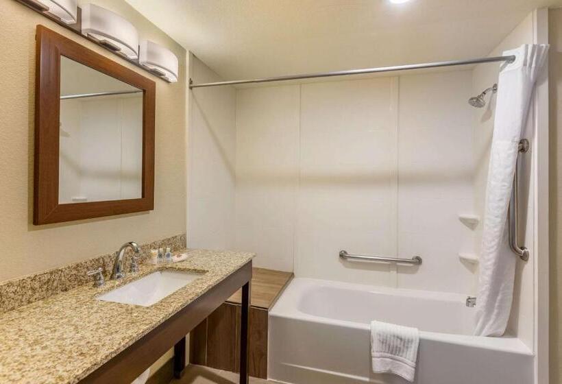 סוויטה עם ג'קוזי, Comfort Suites Near Denver Downtown