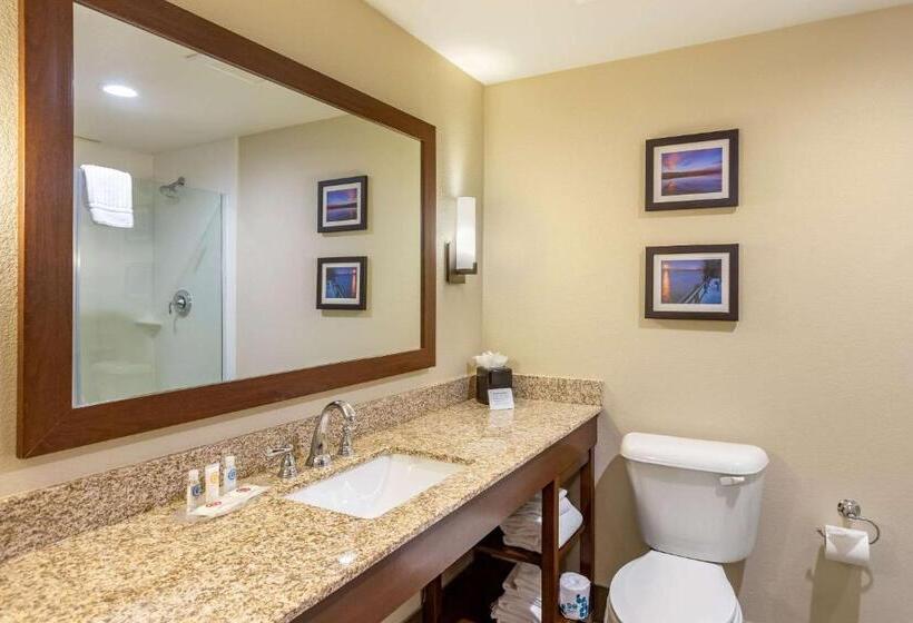 סוויטה משפחתית, Comfort Suites Near Denver Downtown