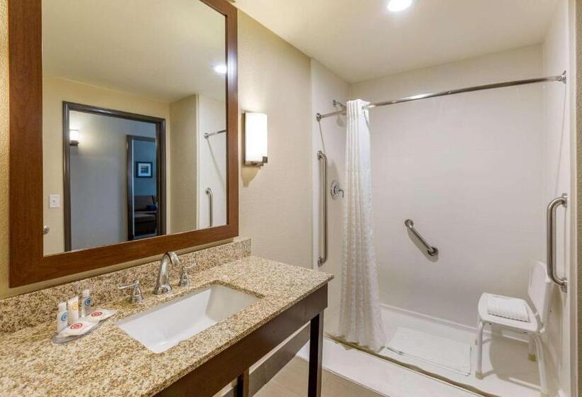 סוויטה מותאמת לאדם עם מוגבלויות, Comfort Suites Near Denver Downtown
