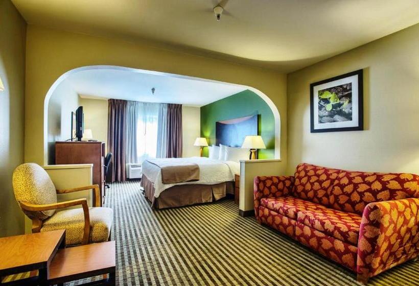 Suite Kingsize Bett, Quality Inn & Suites Birmingham   Highway 280